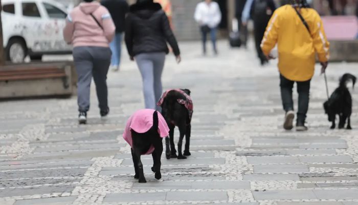 Semana começa com frente fria e chance de tempestade no Sul do País